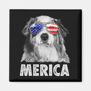 Aimant Aussie australian shepherd 4 juillet merica