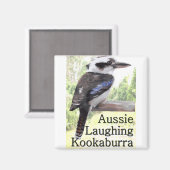 Aimant Aussie rire Kookaburra (Recto/Verso)