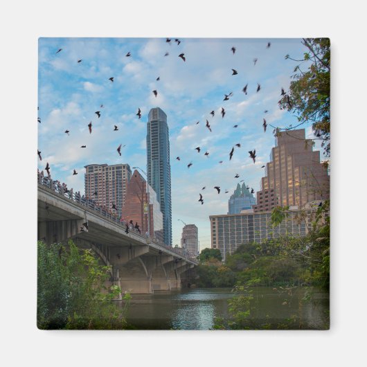 Aimant Austin BATS Centre-ville (Devant)