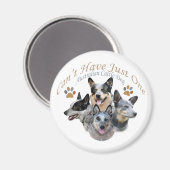 Aimant Australian Cattle Dog ne peut pas avoir seulement (Recto/Verso)
