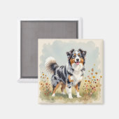 Aimant Australian Shepherd Dog Merle Long Tail (Recto/Verso)