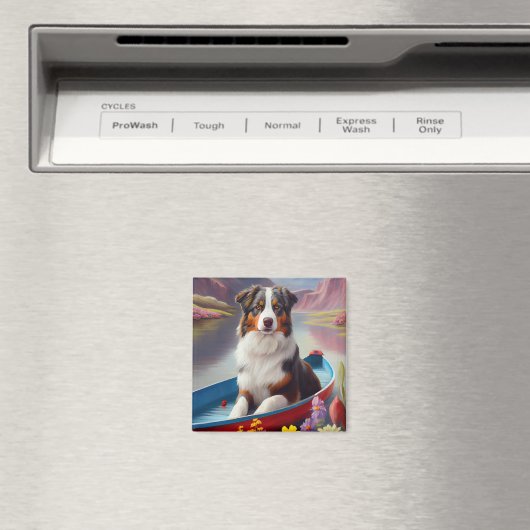 Aimant Australian Shepherd on Paddle : Une aventure Pitto (In Situ (Lave-vaisselle))