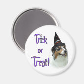 Aimant Australian Shepherd Trick (Recto/Verso)