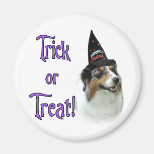Aimant Australian Shepherd Trick