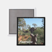 Aimant Australie - Kangaroo (aimant) (Recto/Verso)
