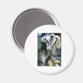 Aimant Australie Koala Bear (Recto/Verso)