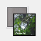 Aimant Australie, Wilderness, Spider (Aimant) (Recto/Verso)