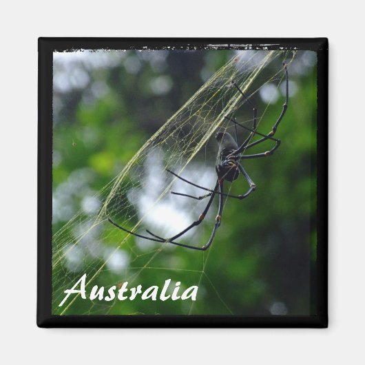 Aimant Australie, Wilderness, Spider (Aimant) (Devant)