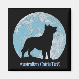 Aimant australien de chien de bétail