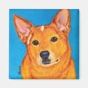Aimant australien de chien de bétail - "rouge "