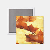 Aimant Automne (Recto/Verso)