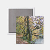 AIMANT AUTOMNE (Recto/Verso)