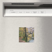 AIMANT AUTOMNE (In Situ (Lave-vaisselle))
