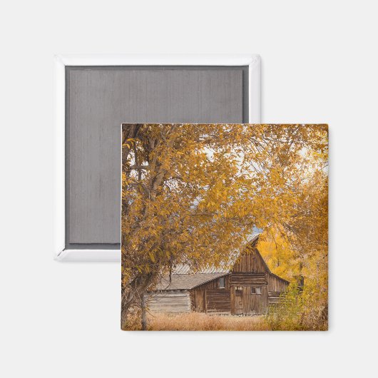 Aimant Automne à Mormon Row (Recto/Verso)