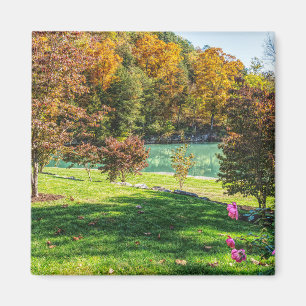 Aimant Automne au Dogwood
