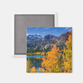 Aimant Automne autour de June Lake, Californie (Recto/Verso)