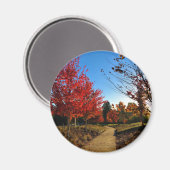 Aimant Automne dans le parc, Oregon (Recto/Verso)