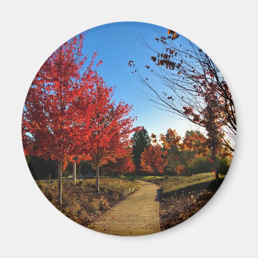 Aimant Automne dans le parc, Oregon (Devant)