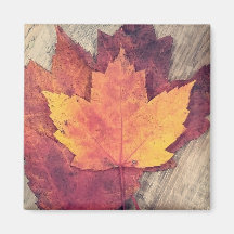 Automne Feuilles d'aimant