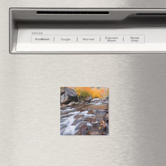 Aimant Automne le long de Bishop Creek, CA (In Situ (Lave-vaisselle))