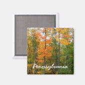 Aimant Automne Maple Trees Automne Photographie de la nat (Recto/Verso)