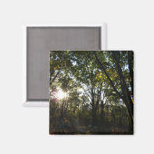 Aimant Automne Matin au Parc national de Shenandoah (Recto/Verso)