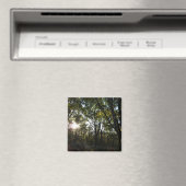 Aimant Automne Matin au Parc national de Shenandoah (In Situ (Lave-vaisselle))