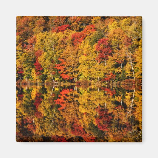 Aimant Automne Réflexion sur Russell Pond | New Hampshire (Devant)