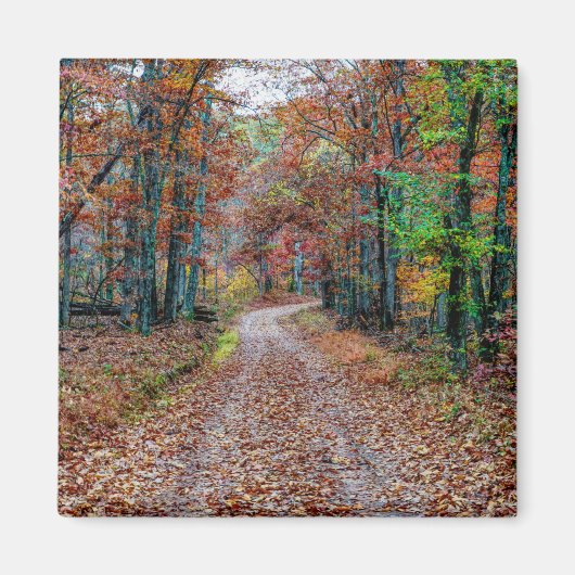 Aimant Automne sur le chemin Dirt nouveau (Devant)