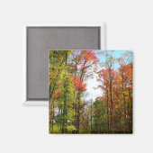 Aimant Automnes Arbres et Ciel bleu Automne Photographie  (Recto/Verso)