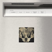 Aimant autopsie Alien (In Situ (Lave-vaisselle))