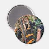 Aimant Autumn Decor (Recto/Verso)
