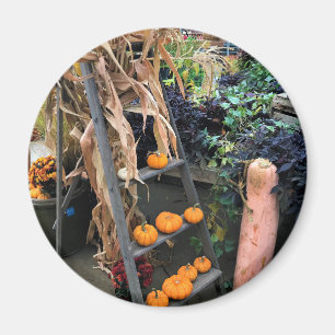 Aimant Autumn Decor