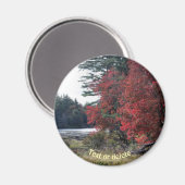 Aimant Autumn Foliage Pond Nature Photographie (Recto/Verso)