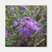 Aimant Autumn's Purple Glow (Devant)