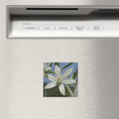 Aimant aux fleurs blanches (In Situ (Lave-vaisselle))