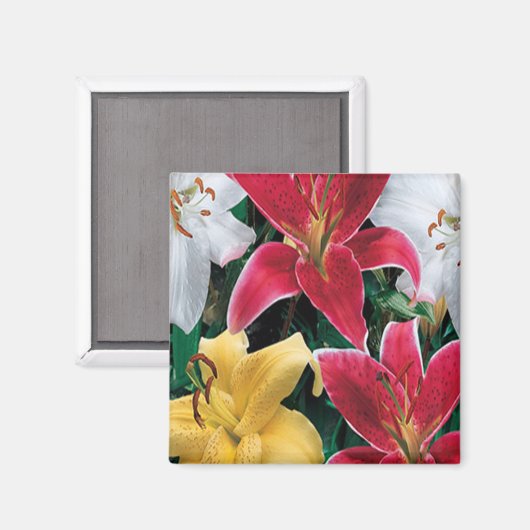 Aimant aux fleurs colorées (Recto/Verso)