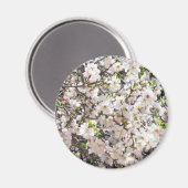 Aimant aux fleurs d'amandes (Recto/Verso)