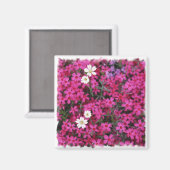 Aimant aux fleurs roses et blanches (Recto/Verso)