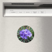 Aimant aux fleurs violettes (In Situ (Lave-vaisselle))