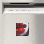 Aimant aux fruits d'été (In Situ (Lave-vaisselle))