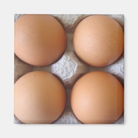 Aimant aux oeufs Brown (Devant)