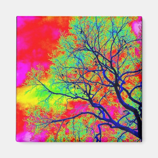 Aimant aux oiseaux (Devant)