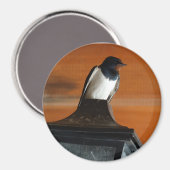 Aimant Avaler l'oiseau sur la lampe photo magnétique rond (Recto/Verso)