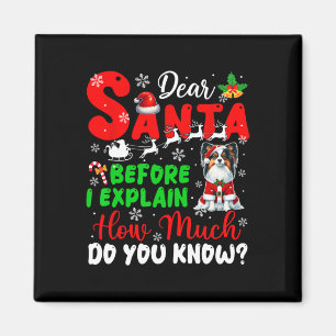 Aimant Avant D'Expliquer Combien Vous Connaissez Xmas Pap