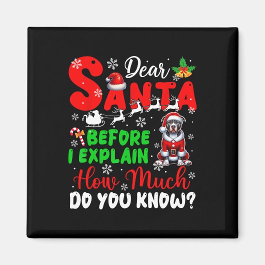 Aimant Avant D'Expliquer Combien Vous Connaissez Xmas Pit (Devant)