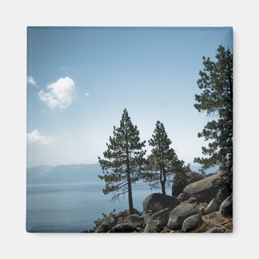 Aimant Avantage (Devant)