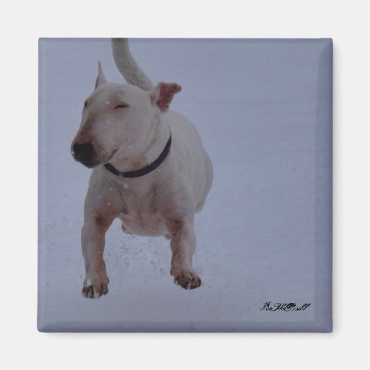 aimant avec buse dans la neige (Devant)