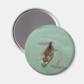 Aimant avec canard (Recto/Verso)