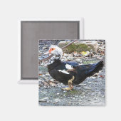 Aimant avec canard (Recto/Verso)